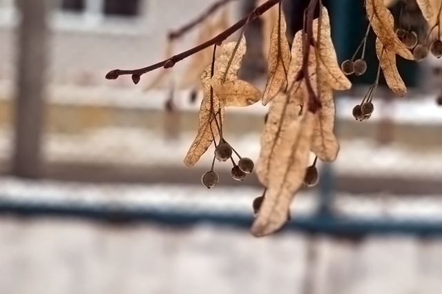 тест Helios44-2